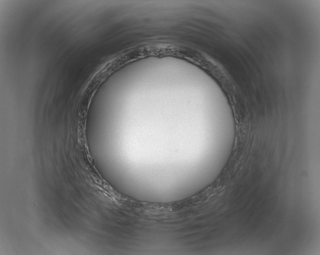 X0000080780823200612151029