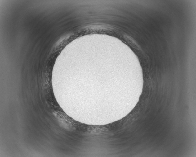 X0000080780824200612151029