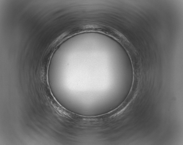 X0000080780825200612151029