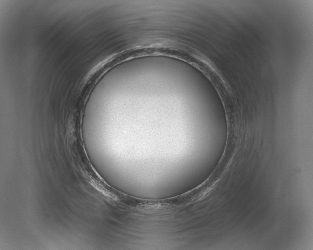 X0000080780826200612151029
