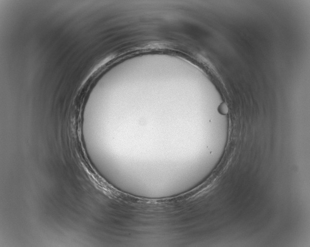 X0000080780827200612151029