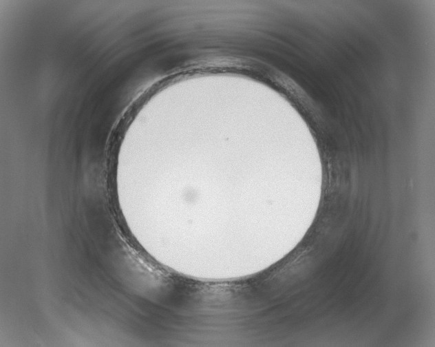 X0000080780828200612151029