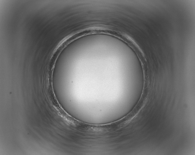 X0000080780829200612151029
