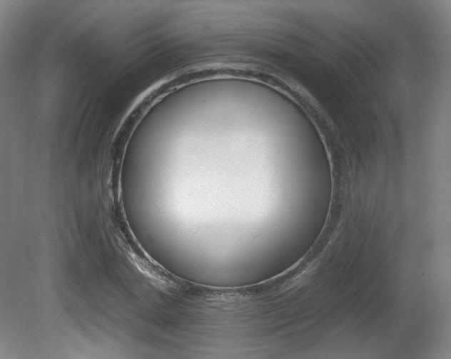 X0000080780830200612151029
