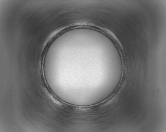 X0000080780831200612151029