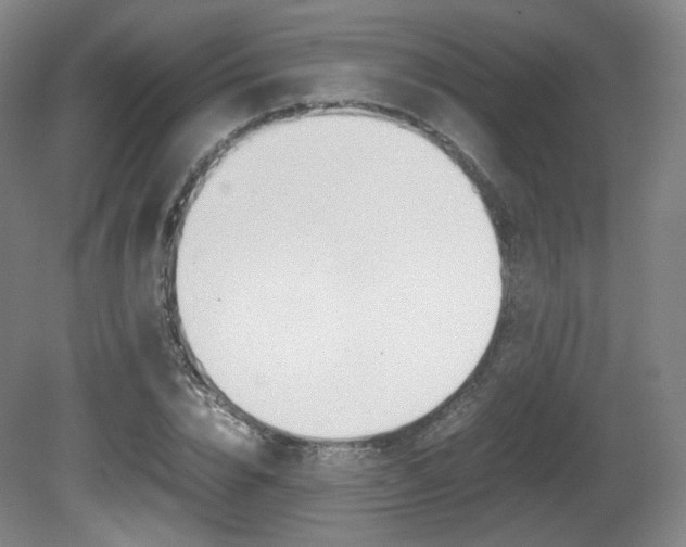 X0000080780832200612151029