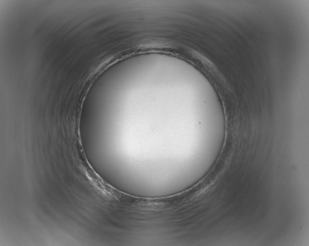 X0000080780833200612151029