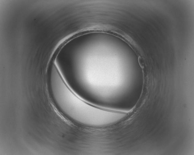 X0000080780838200612151030