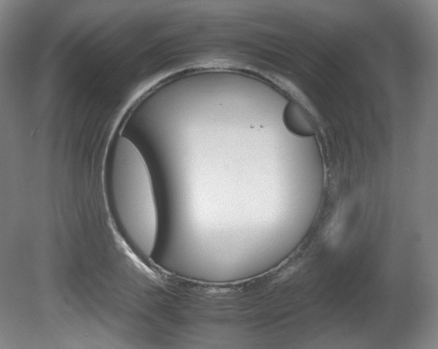 X0000080780839200612151030