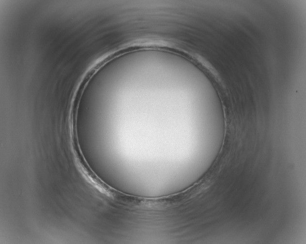 X0000080780840200612151030