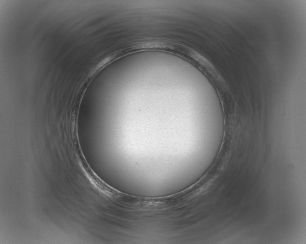 X0000080780841200612151030