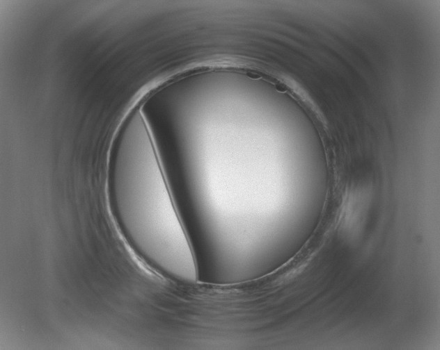 X0000080780845200612151030