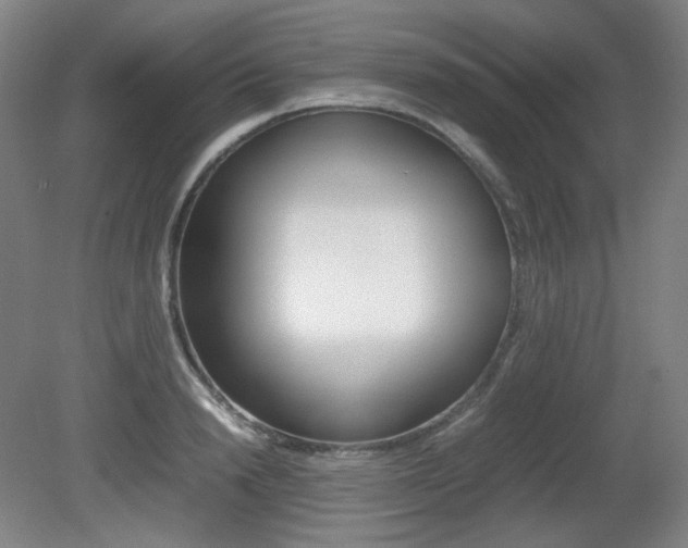 X0000080780846200612151030