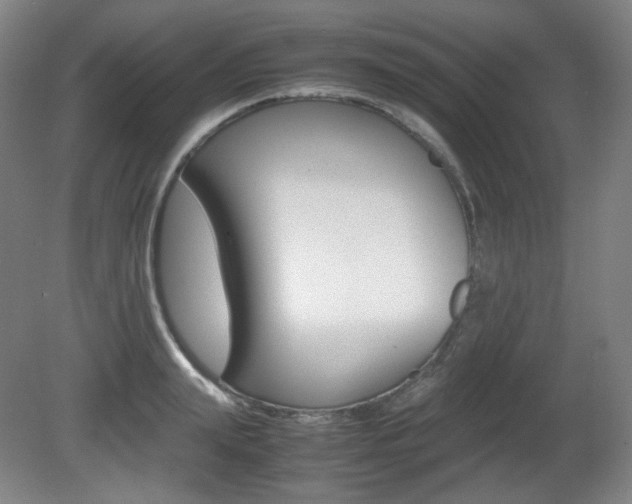 X0000080780847200612151030