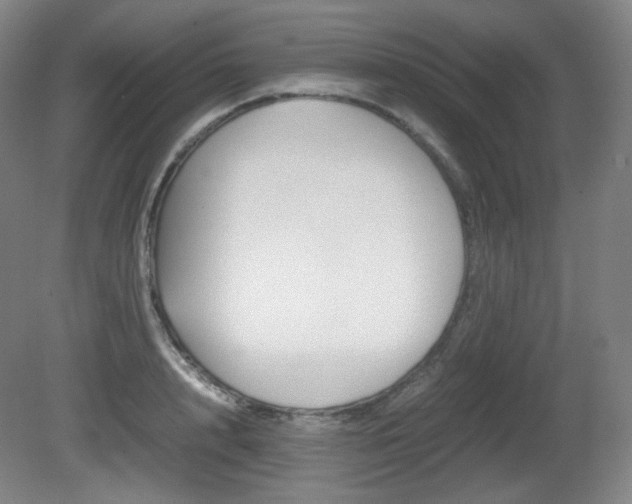 X0000080780848200612151030