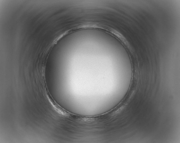 X0000080780849200612151030