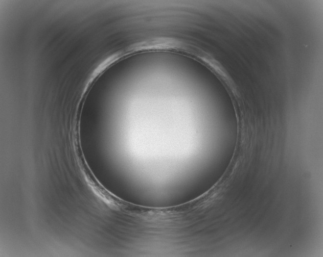 X0000080780850200612151030