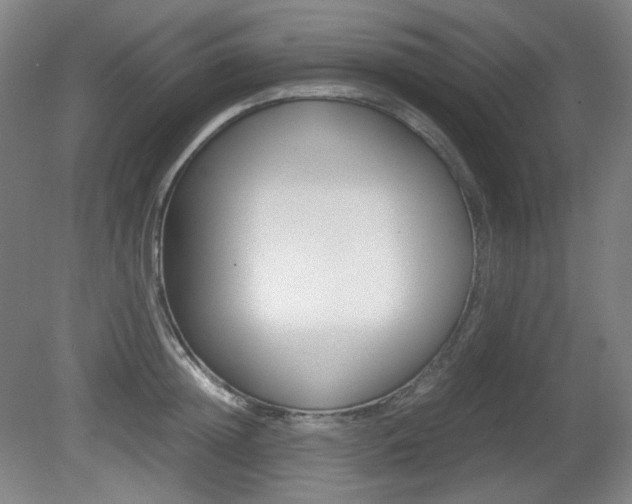 X0000080780852200612151030