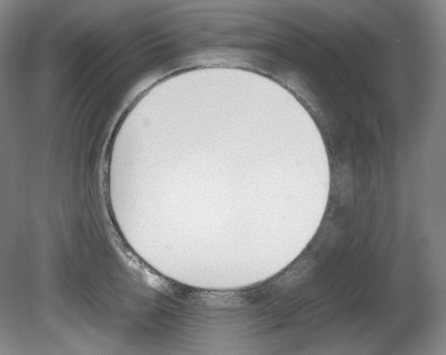 X0000080780856200612151030