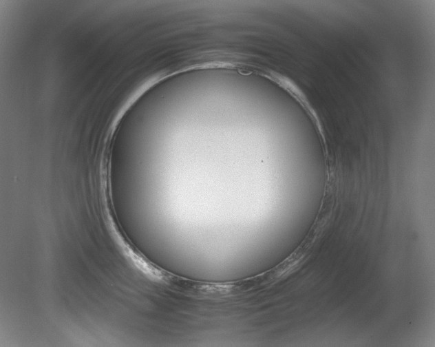 X0000080780859200612151030