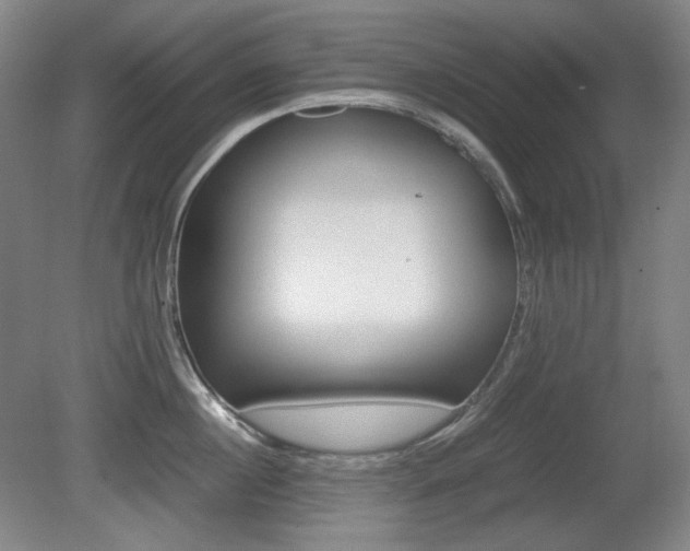 X0000080780860200612151030