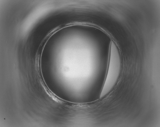 X0000080780862200612151030