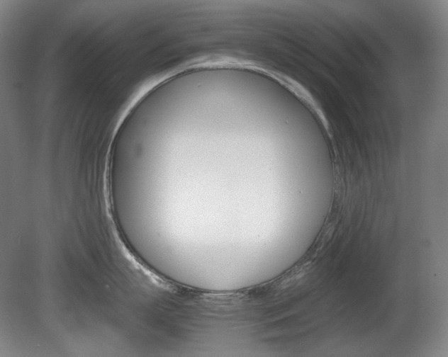 X0000080780863200612151030