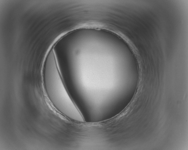 X0000080780864200612151030