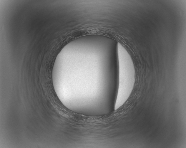 X0000080780865200612151029