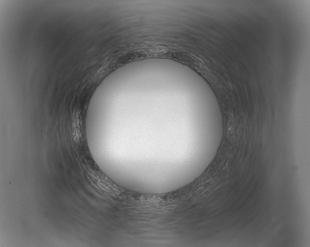 X0000080780866200612151029