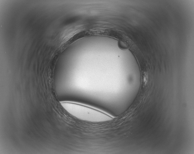 X0000080780867200612151029