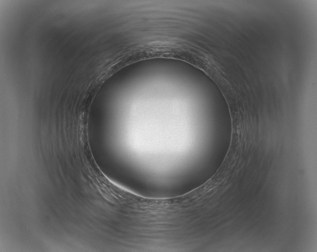 X0000080780868200612151029