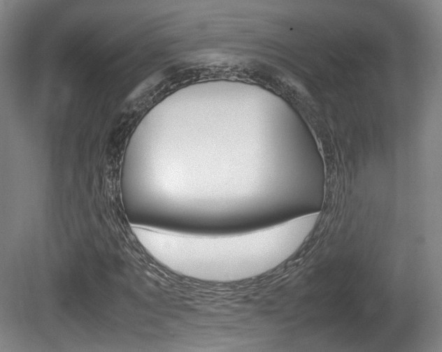 X0000080780869200612151029
