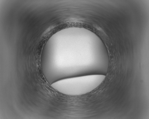 X0000080780870200612151029