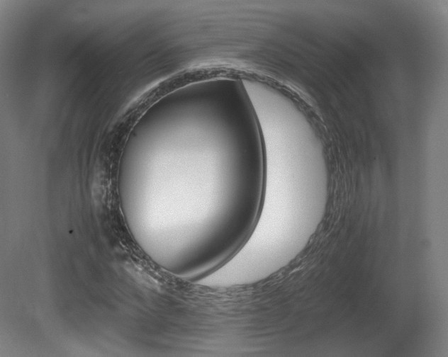 X0000080780872200612151029