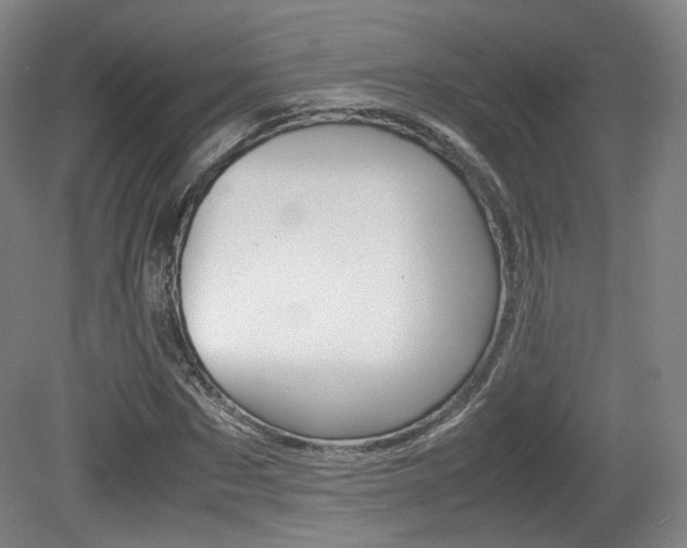 X0000080780873200612151029