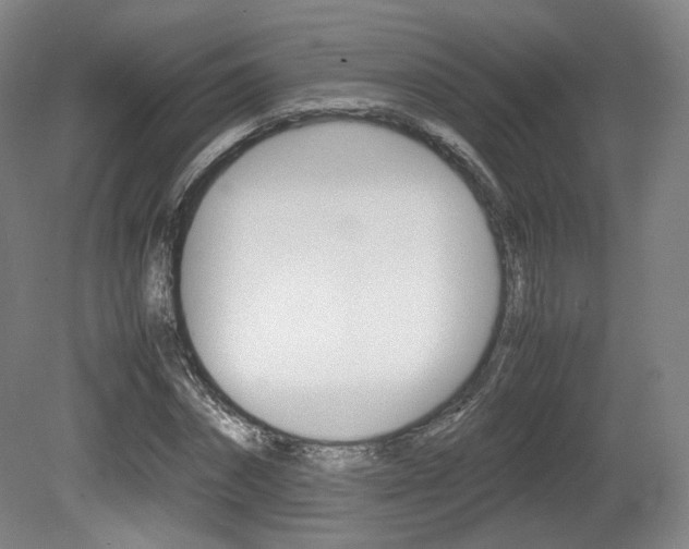 X0000080780874200612151029