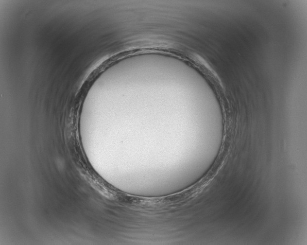X0000080780875200612151029
