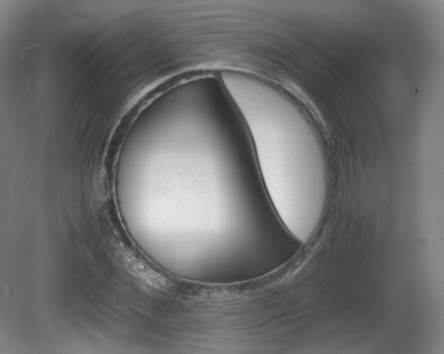 X0000080780876200612151029