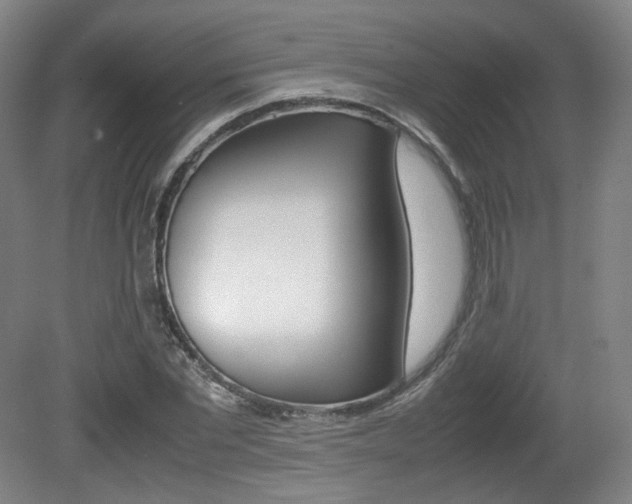 X0000080780877200612151029