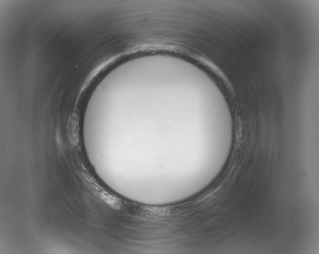 X0000080780878200612151029