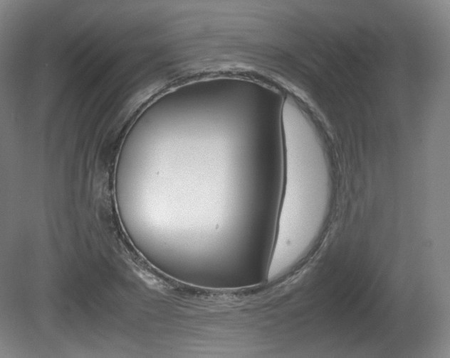 X0000080780881200612151029