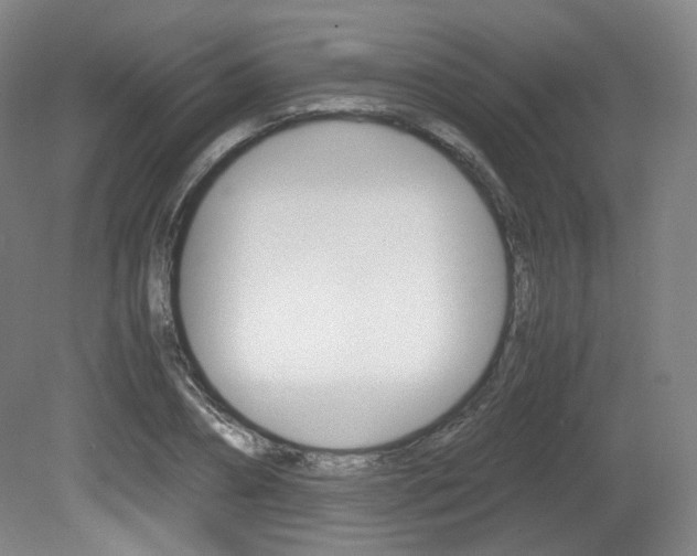 X0000080780882200612151029