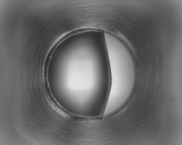X0000080780884200612151029