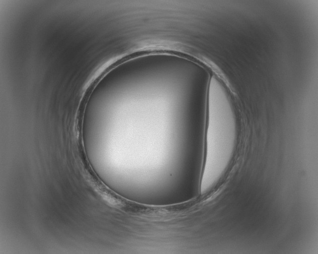 X0000080780885200612151029