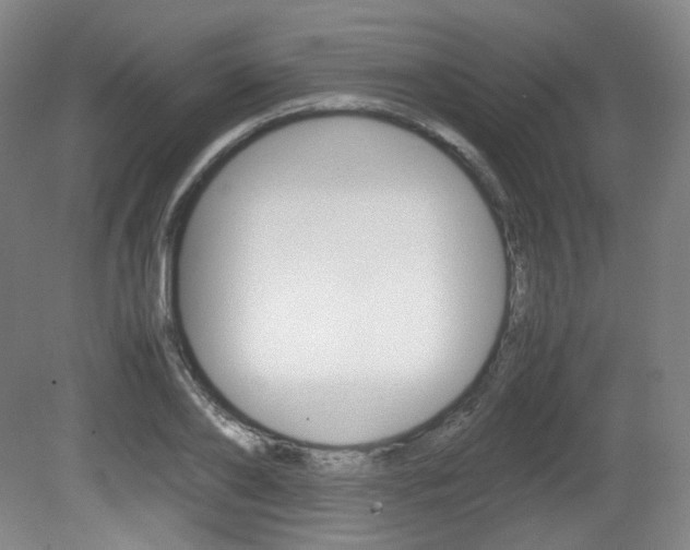 X0000080780886200612151029
