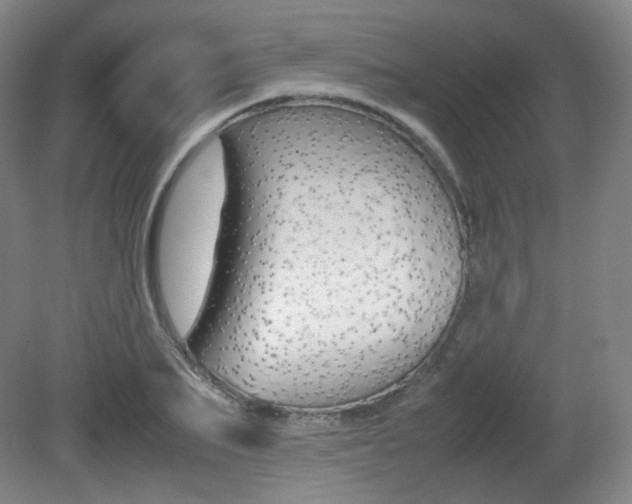 X0000080780887200612151029