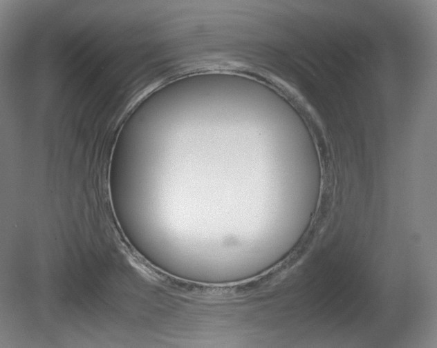 X0000080780889200612151029