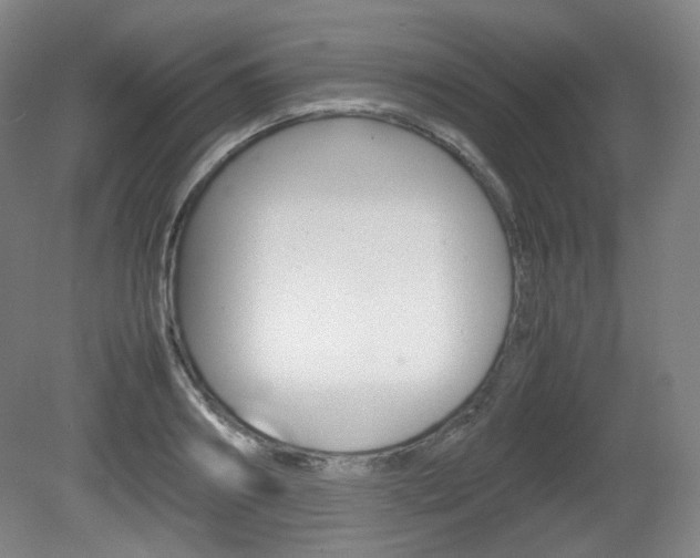 X0000080780890200612151029