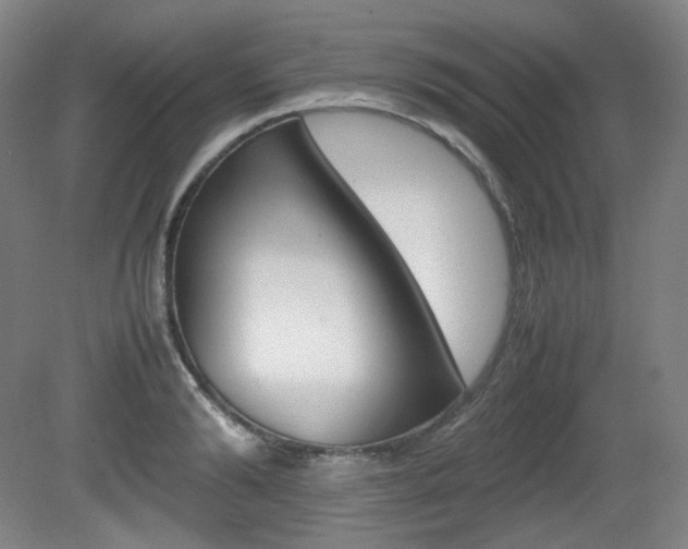 X0000080780894200612151029